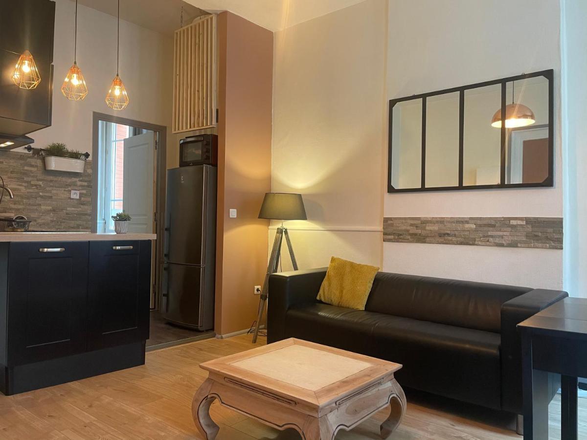 Appartement Cosy En Hyper Centre Toulouse Eksteriør billede